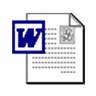 Word Document